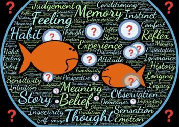 Are you sure that’s what you believe