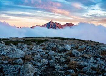 10  Reasons to study NLP